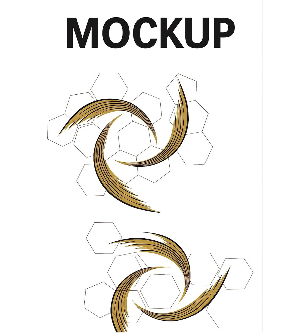 Soccer Quality official supplier of IBSA-approved blind footballs